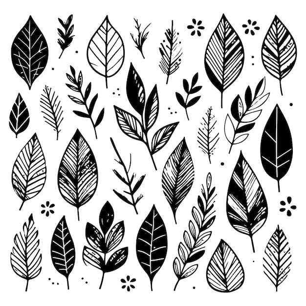 Vector hand drawn leaves with color shapes isolated on white