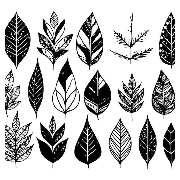 Vector hand drawn leaves with color shapes isolated on white