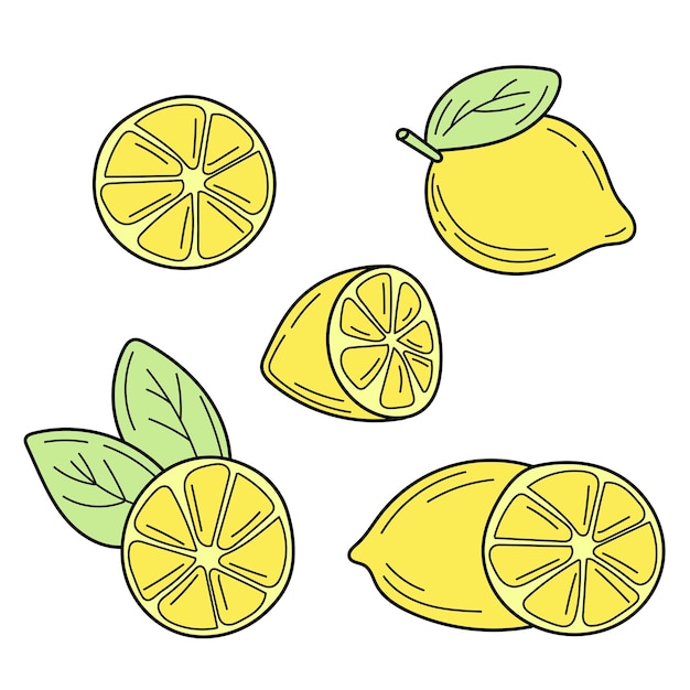 Vector hand drawn lemon tropical fruit sketch doodle summer design