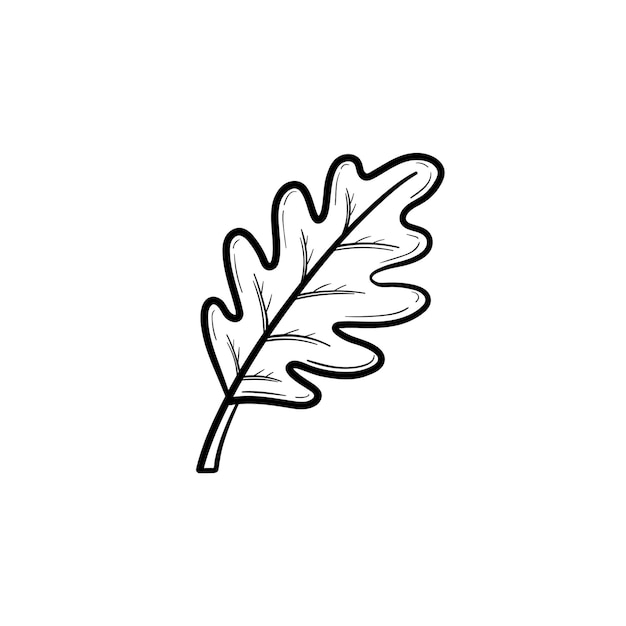 Vector hand drawn oak leaf outline doodle icon. Oak leaf sketch illustration for print, web, mobile and infographics isolated on white background.