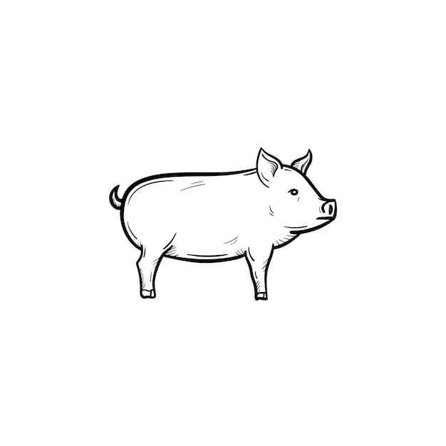 Vector hand drawn Pig outline doodle icon. Pig sketch illustration for print, web, mobile and infographics isolated on white background.