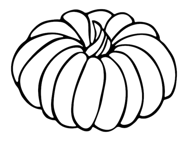 Vector hand drawn pumpkin illustration Vegetable harvest clipart Farm market product