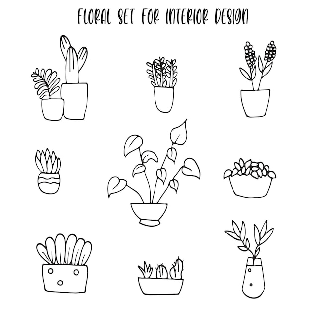 Vector hand drawn set of flowers and cactuses for interior design.