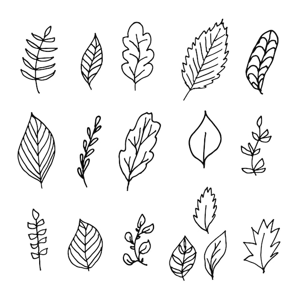 Vector hand drawn set of leaves