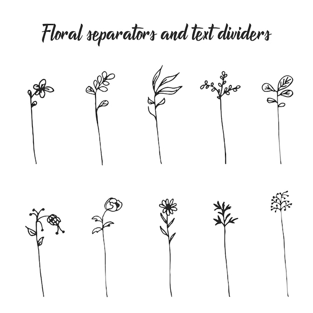 Vector hand drawn set of silhouettes of flowers or text separators collection