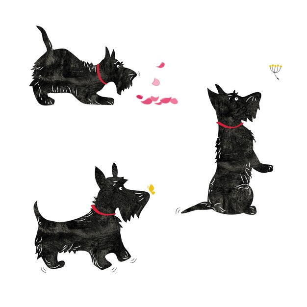 Vector vector hand drawn texture illustrations of scottish terrier with flower and butterfly