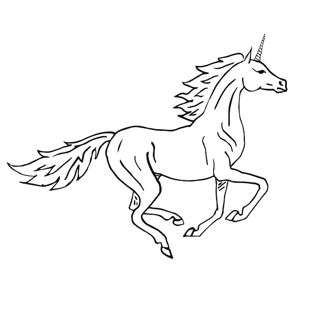 Vector hand drawn unicorn isolated on white background