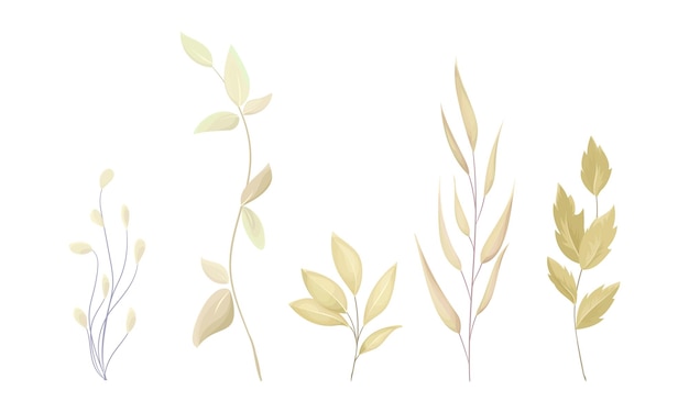 Vector hand drawn watercolor leaves set