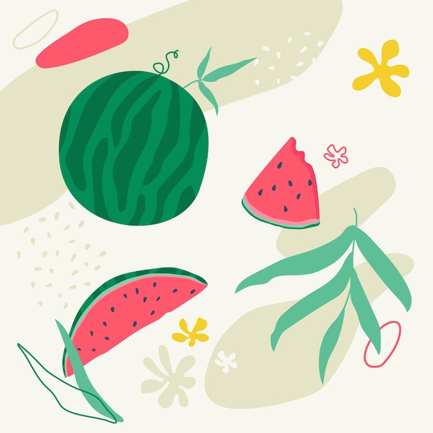 Vector vector hand drawn watermelon fruit and leaves set