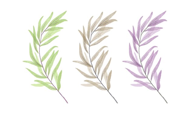 Vector hand painted watercolor leaves set