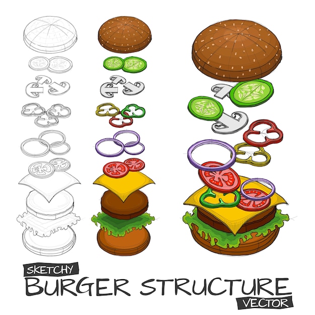 Vector hand sketch with color of burger and components