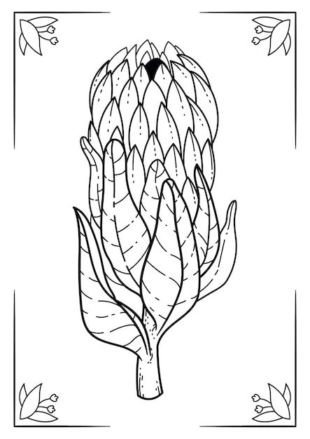 Vector handdrawn botanical coloring book page