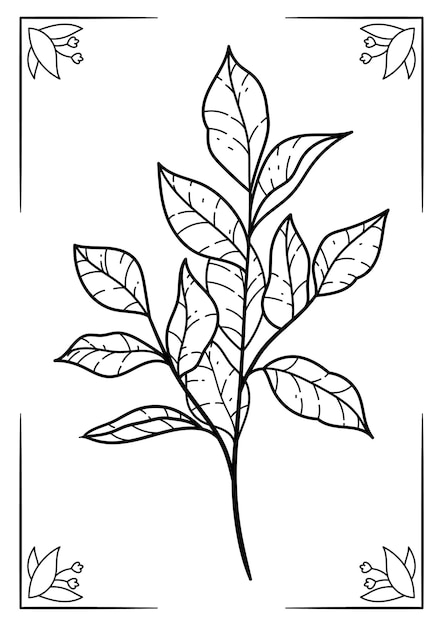 Vector handdrawn botanical coloring book page