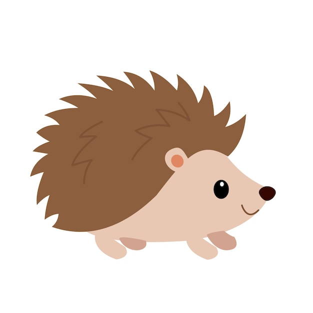 Vector hedgehog cartoon on white