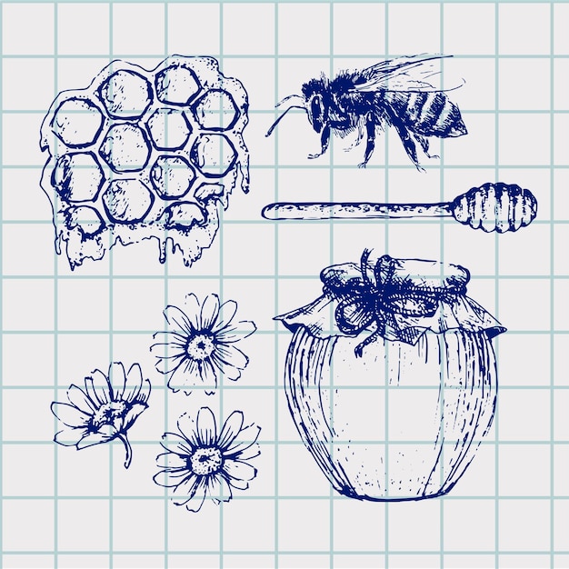 Vector honey set. Vintage hand drawn illustration. Engraved organic food