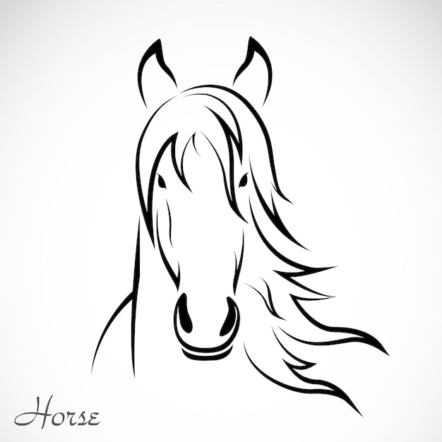 Vector of a horse on white background Easy editable layered vector illustration