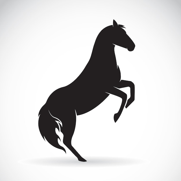 Vector of a horse on a white background