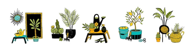 Vector house plants and home decor elements. Hand drawn potted plants collection. Set of cactus, bookcase, basket, garden stuff, lemon tree.