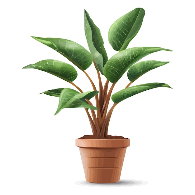 Vector vector houseplant in brown flowerpot on white background