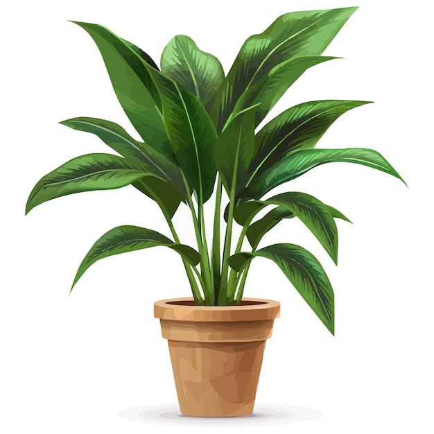 Vector vector houseplant in brown flowerpot on white background