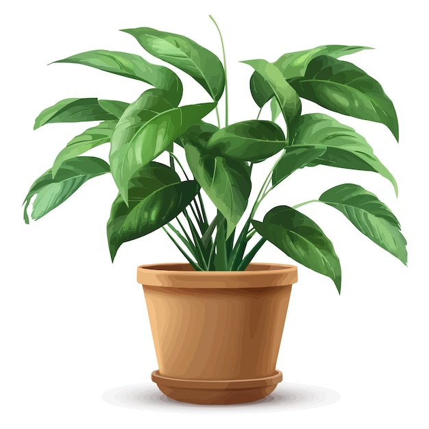 Vector vector houseplant in brown flowerpot on white background