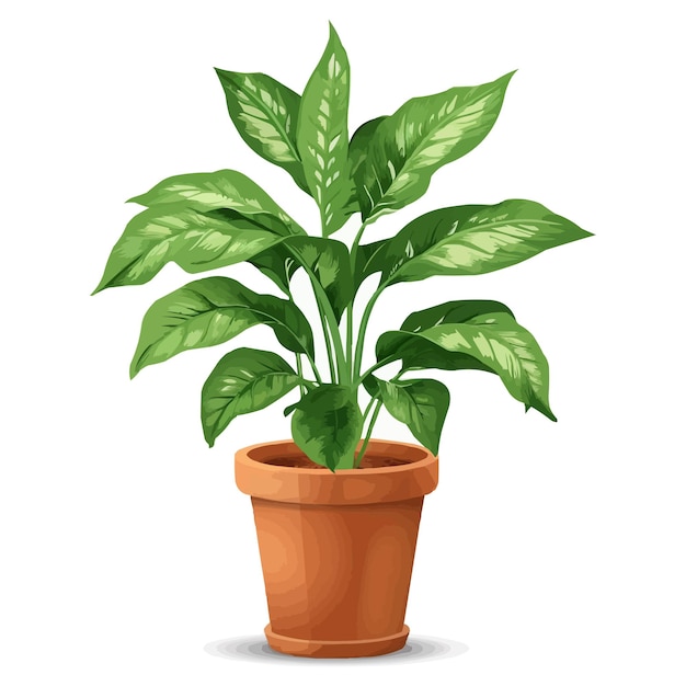 Vector vector houseplant in brown flowerpot on white background