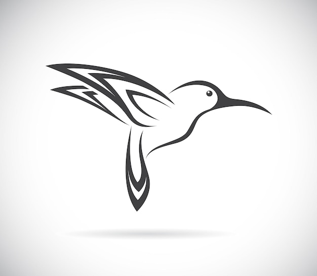 Vector of hummingbird design on white background Easy editable layered vector illustration