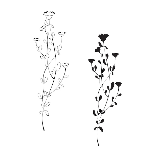 Vector icon of flowers. Botanical illustration of a flower in black. Design element.