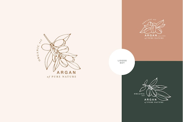 Vector illustration argan branch  vintage engraved style logo composition in retro botanical style