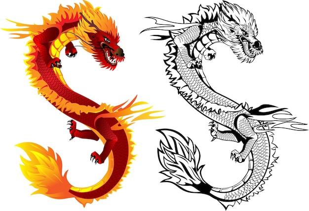 Vector illustration Asian dragon set