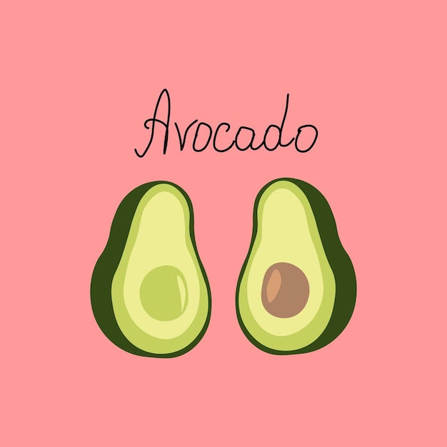 Vector illustration of an avocado fruit cut into two halves