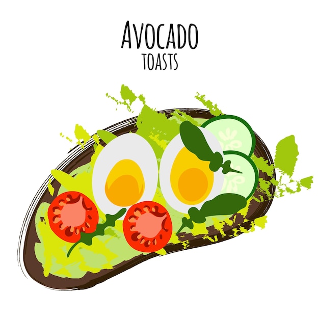 Vector vector illustration avocado hummus toasts with tomatoes eggs