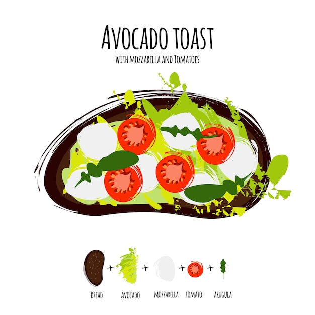 Vector illustration avocado hummus toasts with tomatoes mozzarella