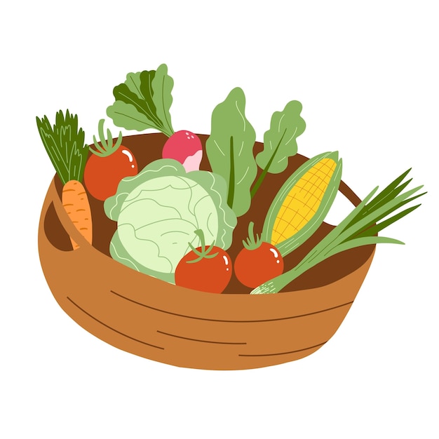 Vector illustration of basket with vegetables in hand drawn style Tomato carrot salad corn radish