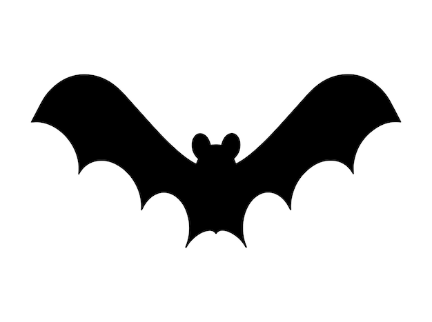 vector illustration of Bat