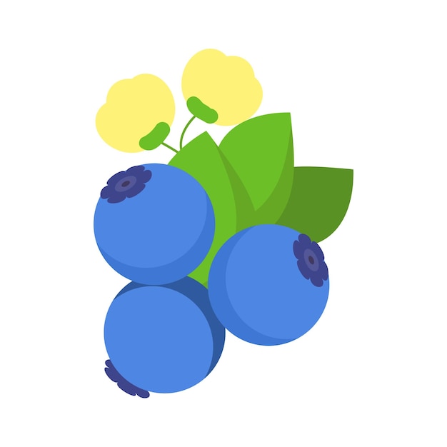 Vector illustration of bilberry in flat style