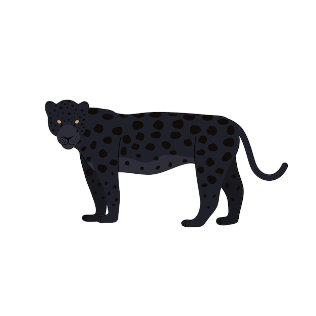 Vector illustration of black panther