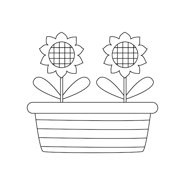 Vector illustration of black and white sunflower in pots on white background