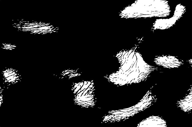 vector illustration of black and white texture