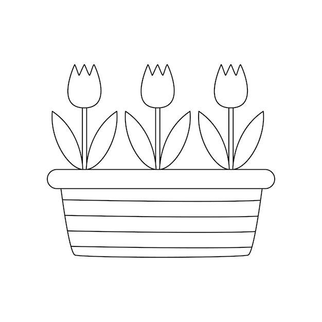 Vector illustration of black and white tulips in pots on white background