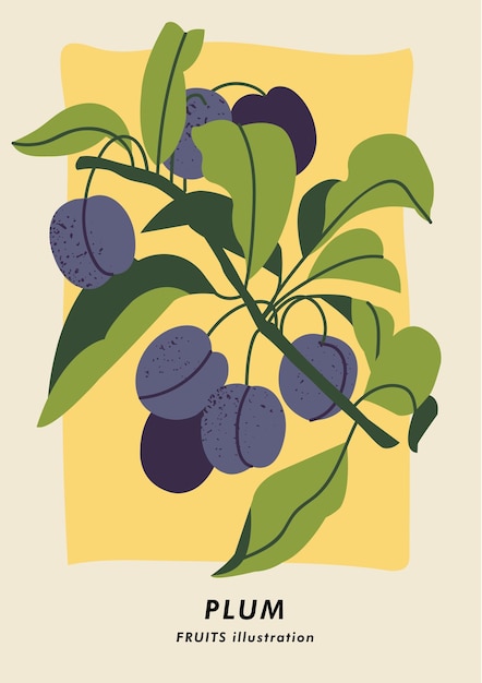 Vector illustration botanical poster with plum fruits Art for for postcard wall art banner background and cover