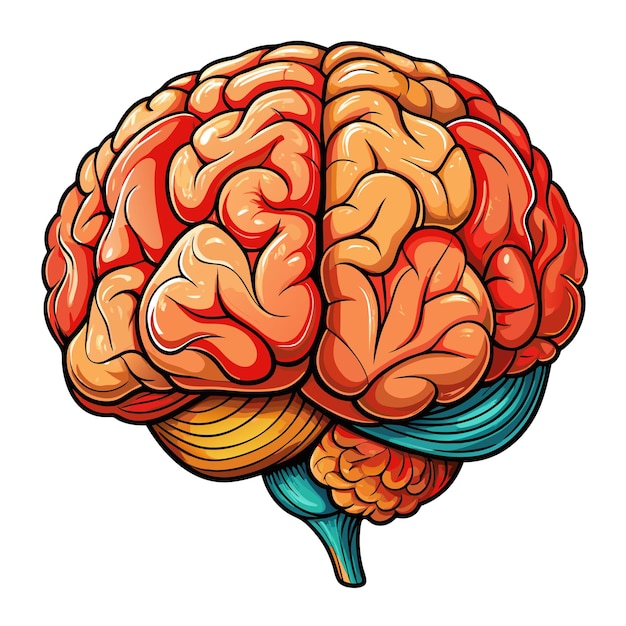 a vector illustration of a brain that has the word brain on it