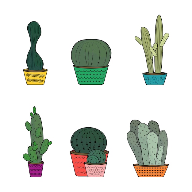 Vector illustration of cacti in pots isolated on white background