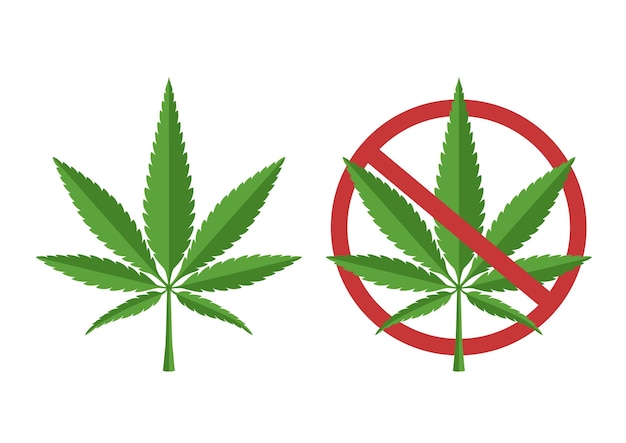 Vector illustration of cannabis leaf.