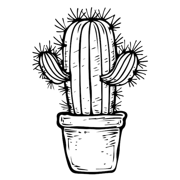 Vector illustration cartoon cactus plant in pot black and white coloring book for kids