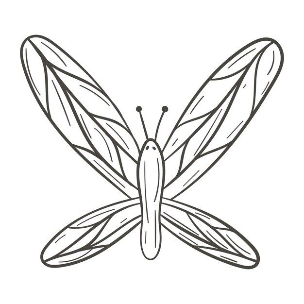 Vector illustration of cartoon doodle isolated butterfly