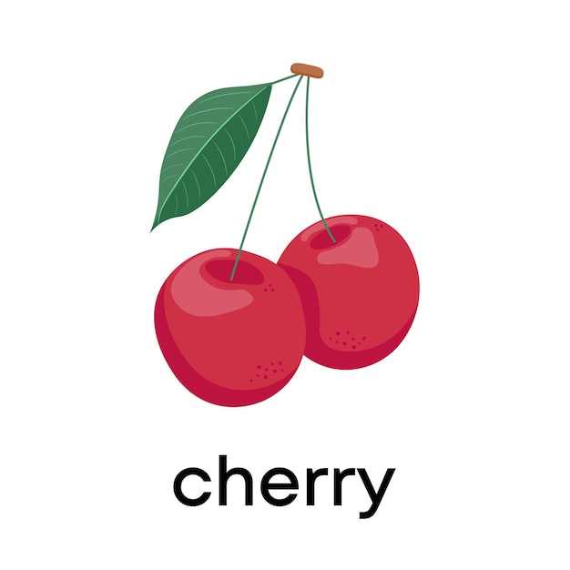 Vector illustration of cherry icon in flat style