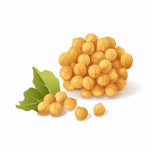 Vector illustration of a chick pea in a pod