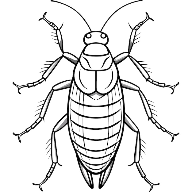 vector illustration of cockroach macro insect