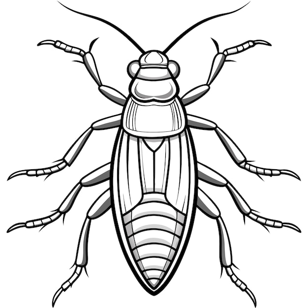 vector illustration of cockroach macro insect